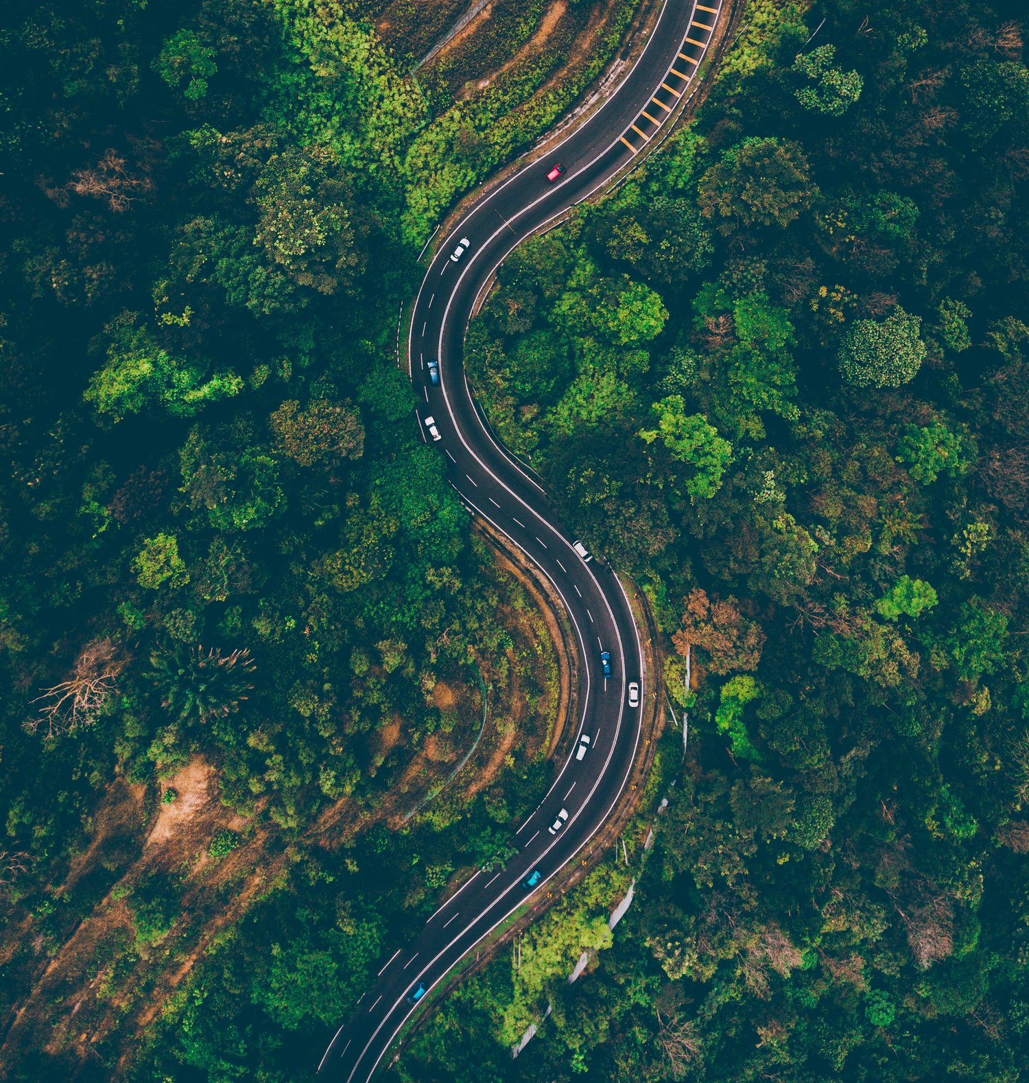 Sustainability in 2023: What brands and retailers can learn
