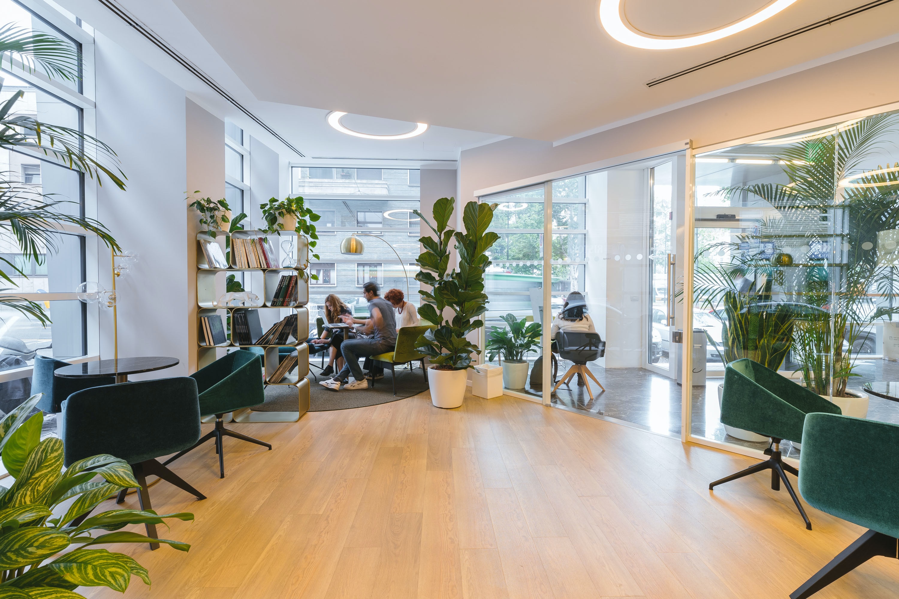 Spacious office with green plants