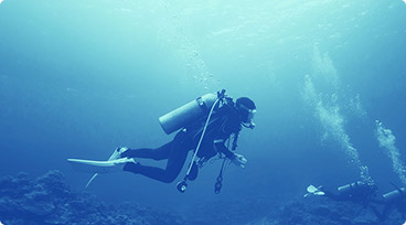 Person scuba diving
